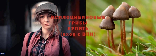 спайс Покровск