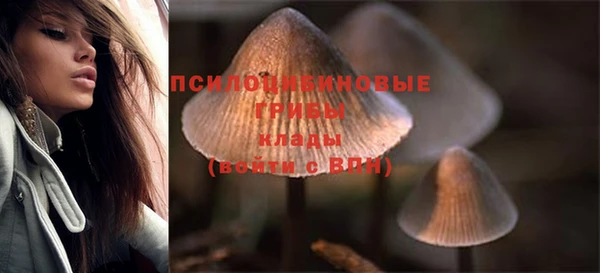 mdpv Алзамай