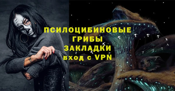 героин Покачи