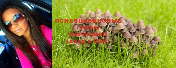 mdpv Алзамай