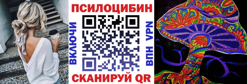 Псилоцибиновые грибы Cubensis  Сасово 